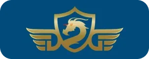 Momo Wallet partner logo